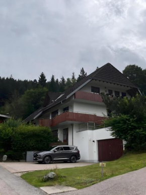 Urlaub im Hochschwarzwald